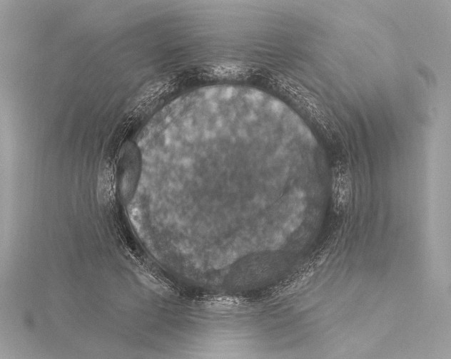 X0000115400593200912011206
