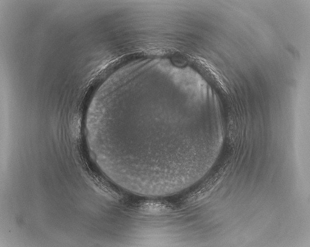 X0000115400596200912011206