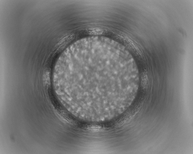 X0000115400598200912011206