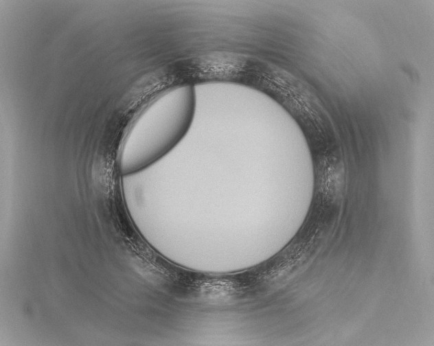 X0000115400599200912011206