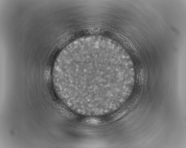 X0000115400610200912011206