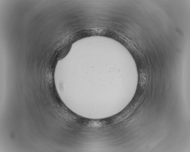X0000115400613200912011206