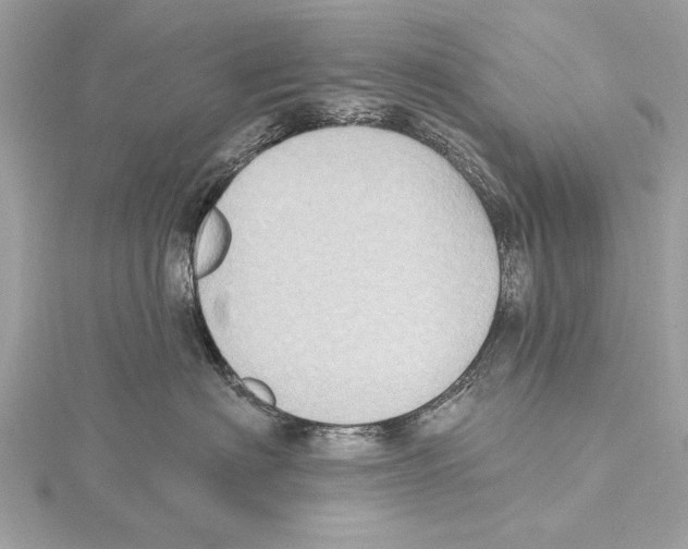X0000115400622200912011206