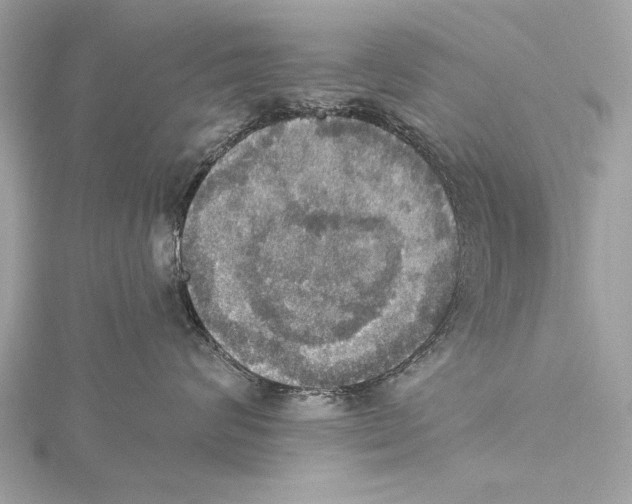 X0000115400624200912011206