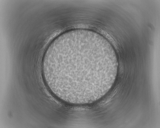 X0000115400625200912011205