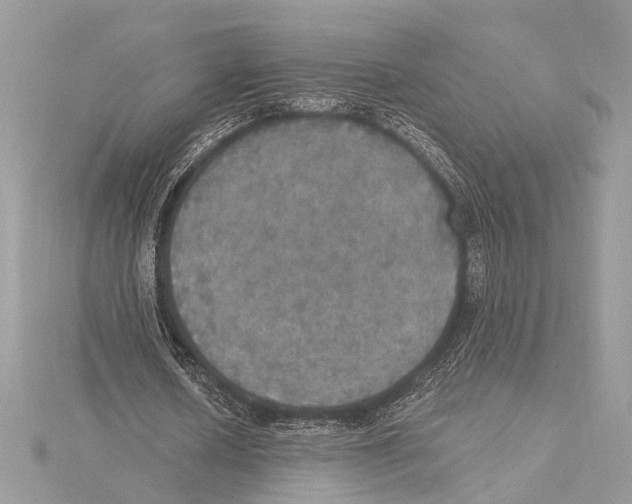 X0000115400626200912011205