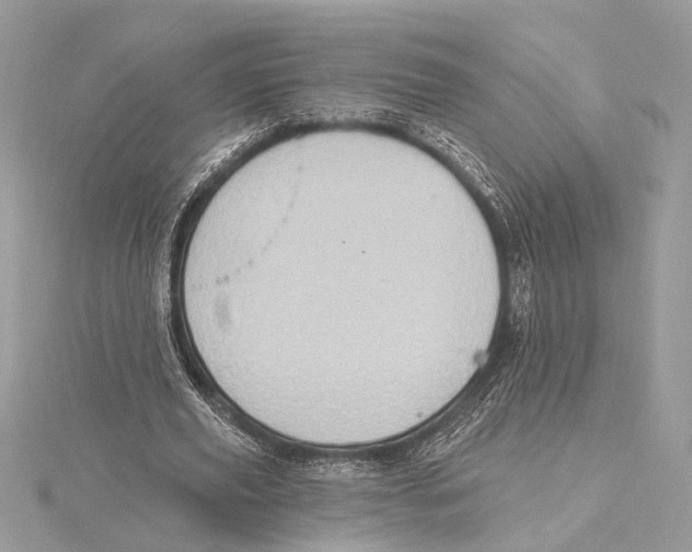 X0000115400629200912011206