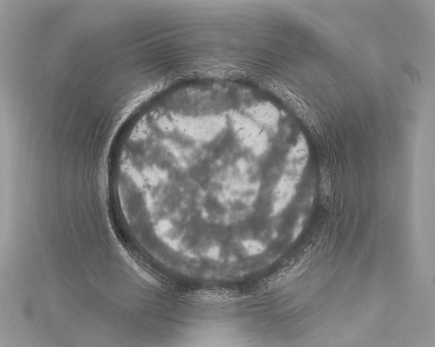 X0000115400630200912011206