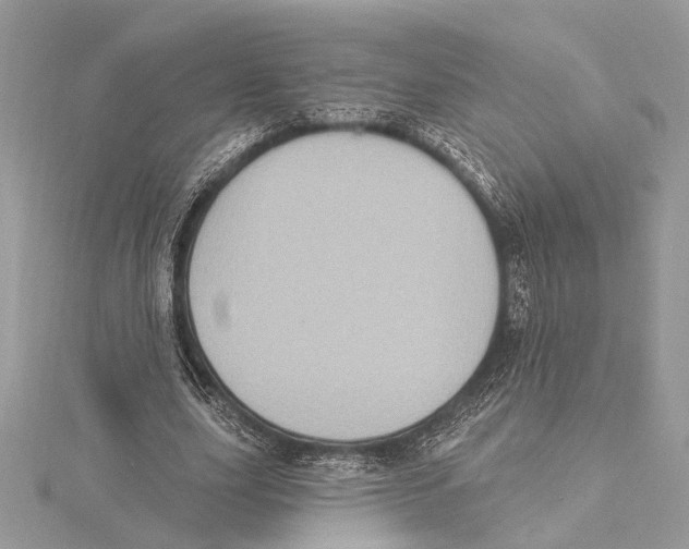 X0000115400631200912011206