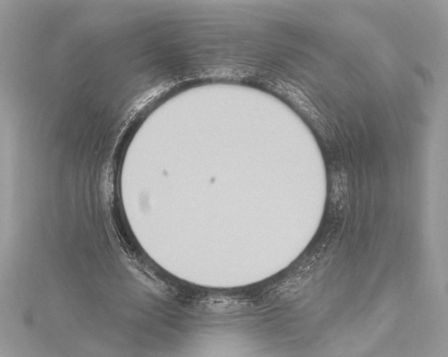 X0000115400632200912011206
