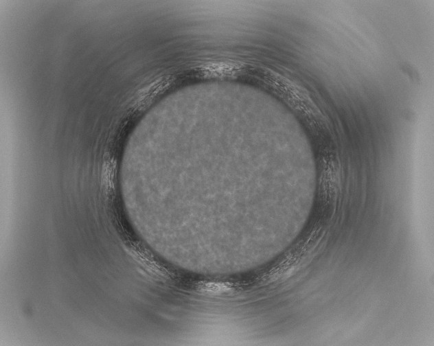 X0000115400649200912011206