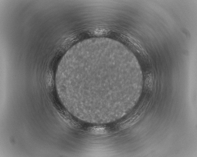 X0000115400651200912011206