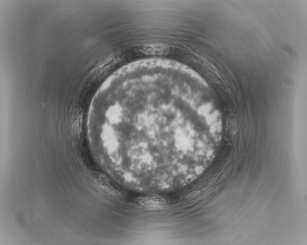 X0000115400652200912011206