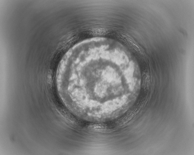 X0000115400655200912011206