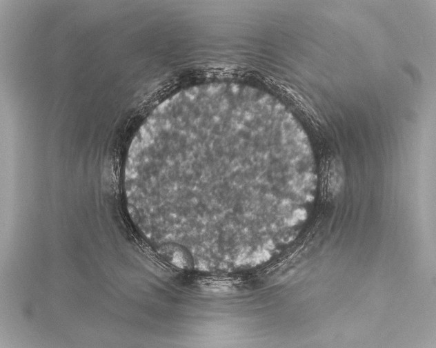 X0000115400661200912011206