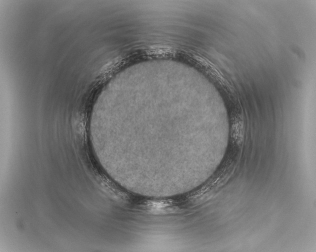 X0000115400662200912011206