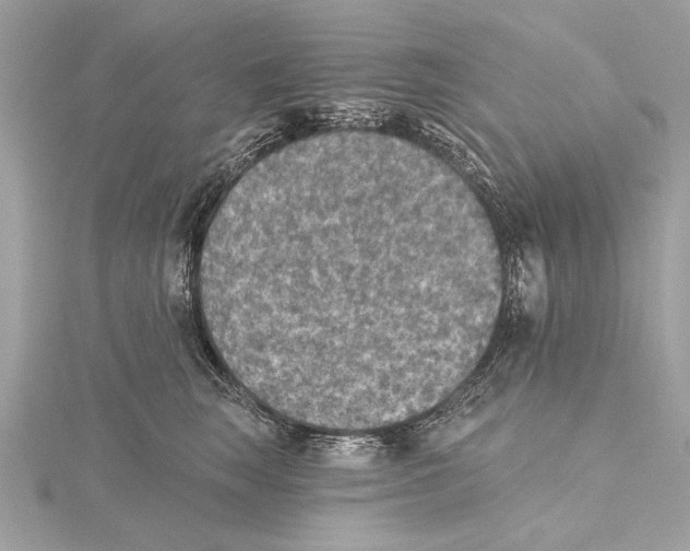 X0000115400663200912011206