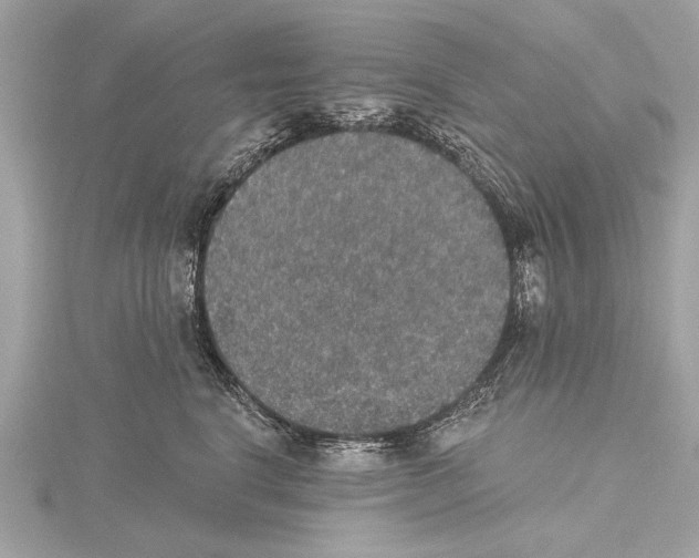X0000115400664200912011206
