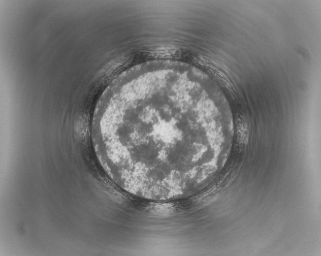 X0000115400665200912011206