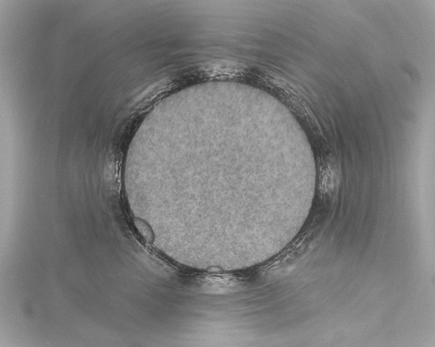 X0000115400666200912011206