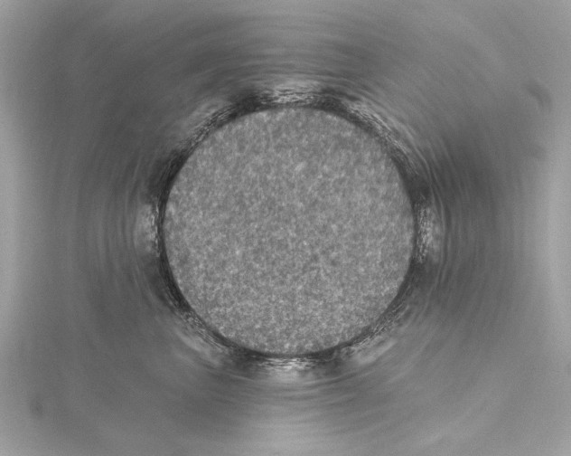 X0000115400667200912011206