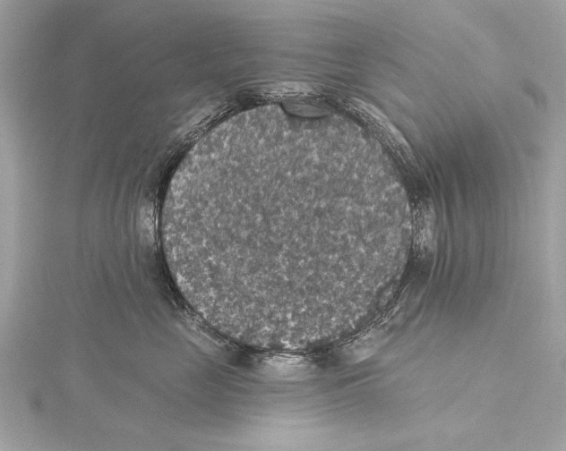 X0000115400669200912011206