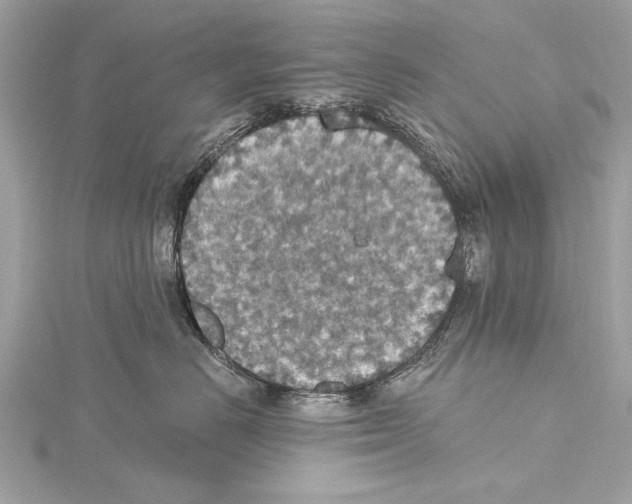 X0000115400670200912011206