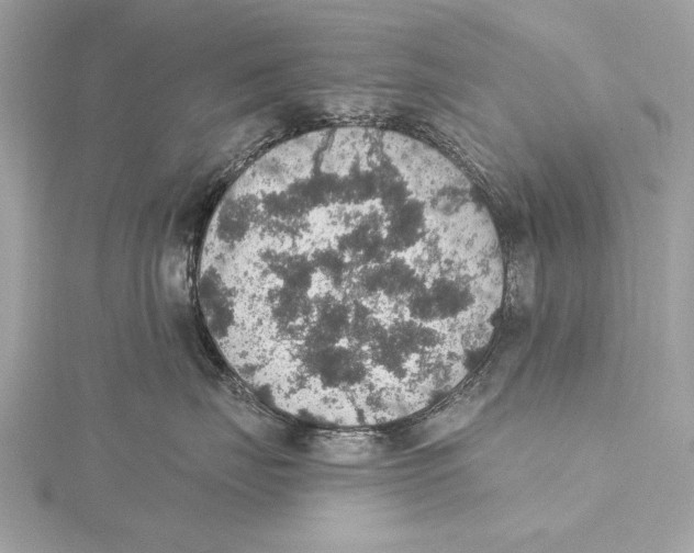 X0000115400671200912011206