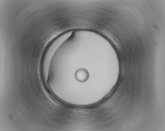 X0000115400677200912011205