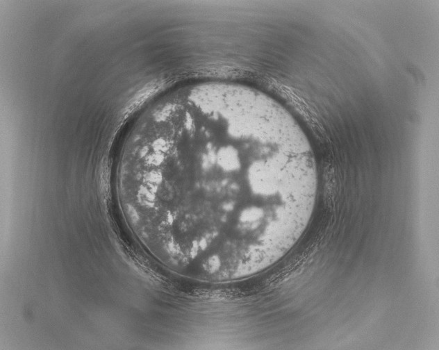 X0000115400679200912011205