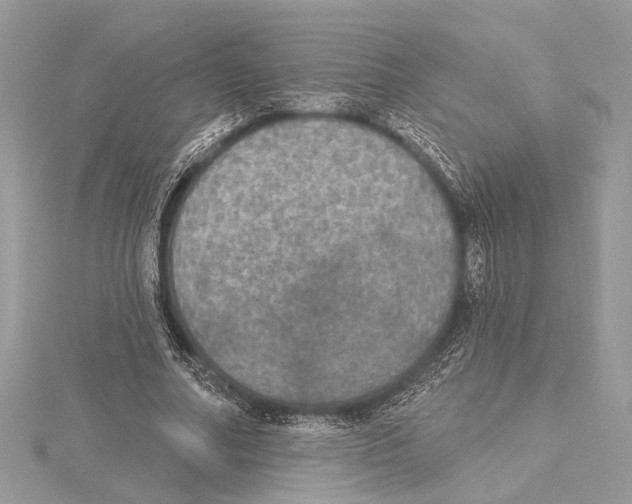 X0000115400682200912011205