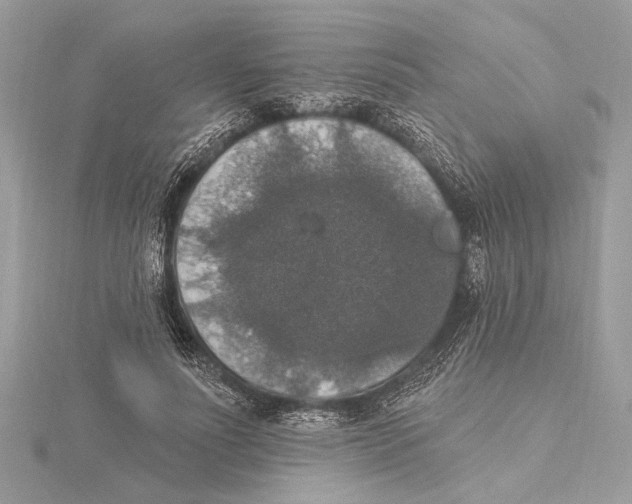 X0000115400691200912011205