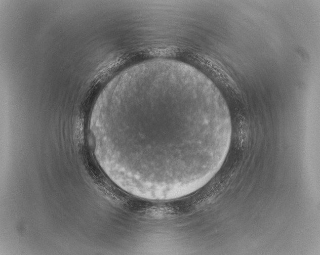 X0000115400696200912011205