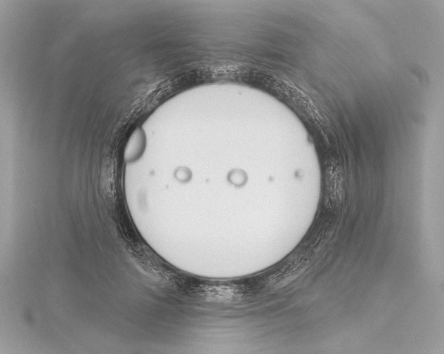 X0000115400698200912011205