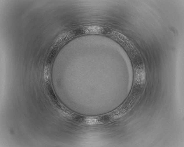 X0000115400701200912011205