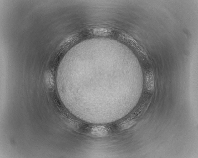 X0000115400705200912011205