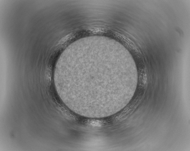 X0000115400710200912011205