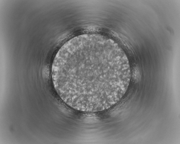 X0000115400715200912011205