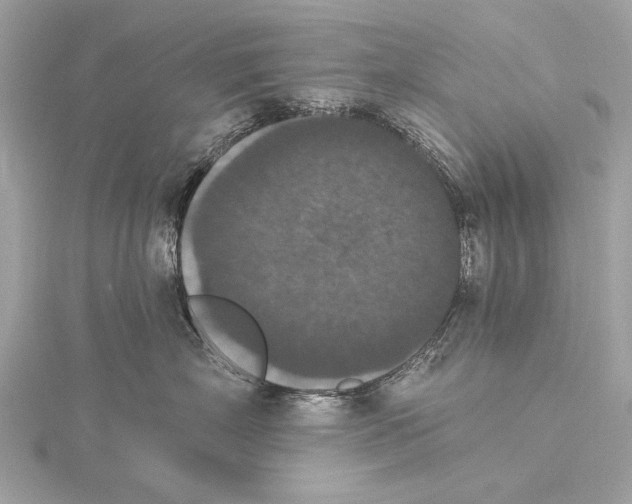 X0000115400718200912011205