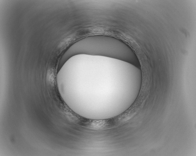X0000115400720200912011205