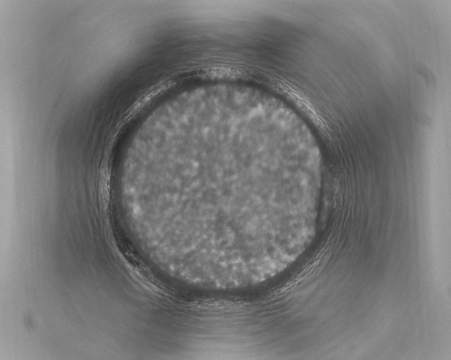 X0000115400722200912011204