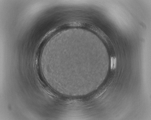 X0000115400723200912011204