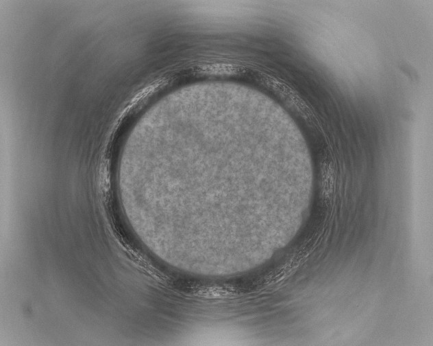 X0000115400731200912011204