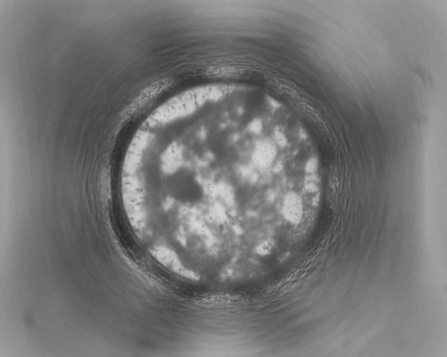 X0000115400734200912011204