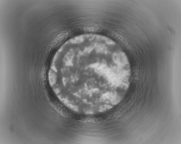 X0000115400738200912011204