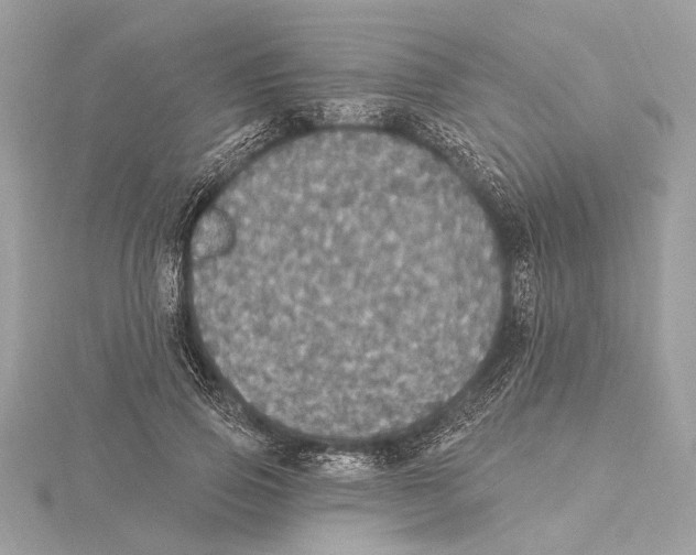 X0000115400741200912011204