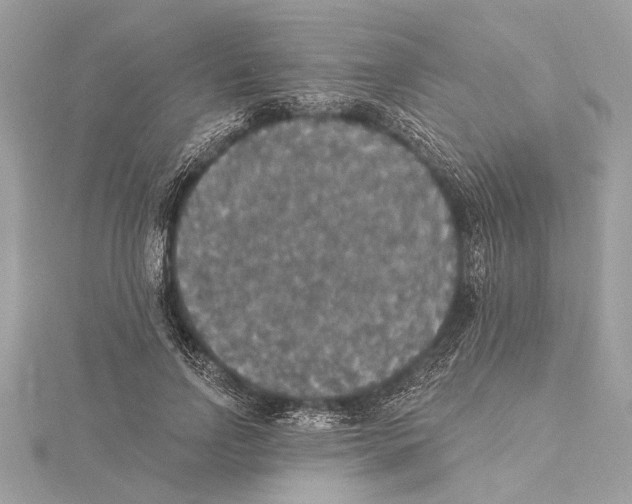 X0000115400742200912011205