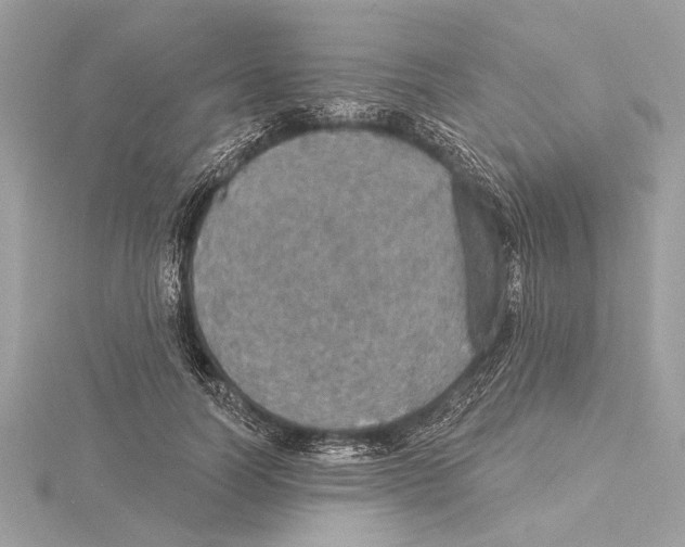 X0000115400746200912011205