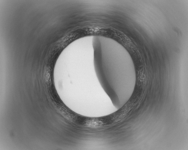 X0000115400754200912011205