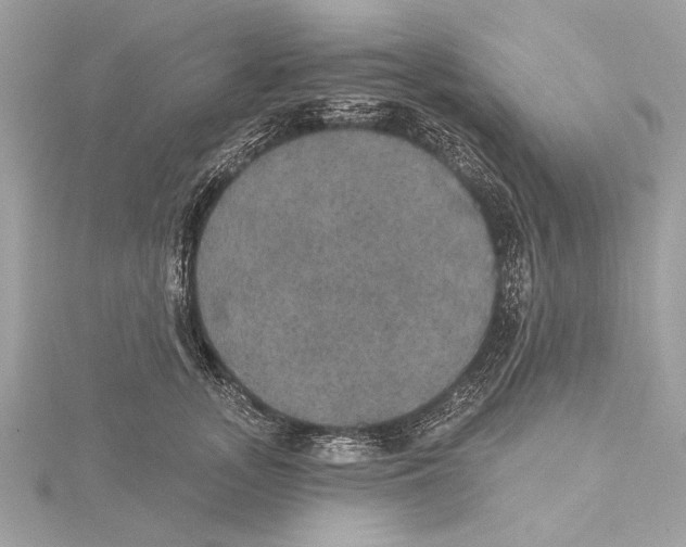 X0000115400755200912011205